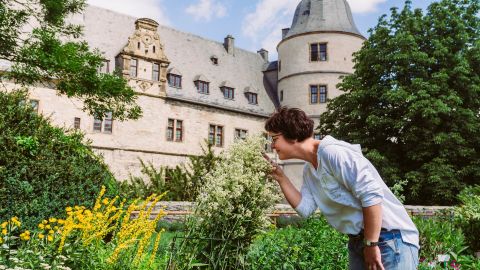 Die Heilkunst der Jesuiten